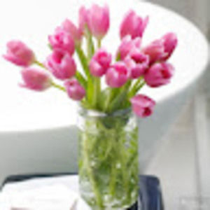 Meet your Posher, Kari